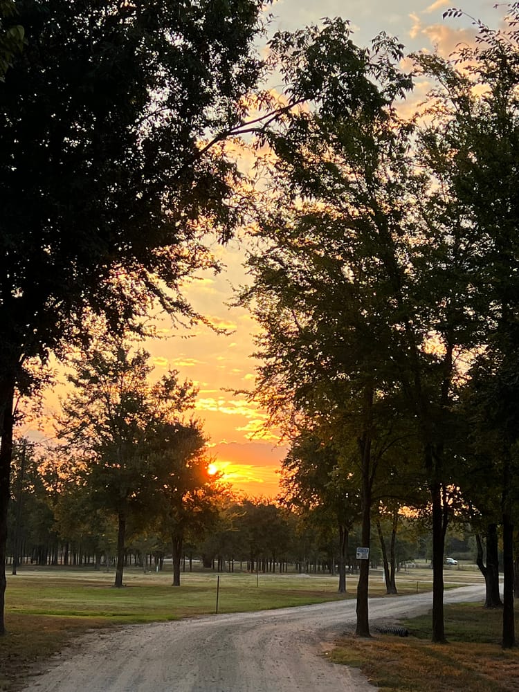 Golden sunrise through trees over tiny house community with tree-lined pathways